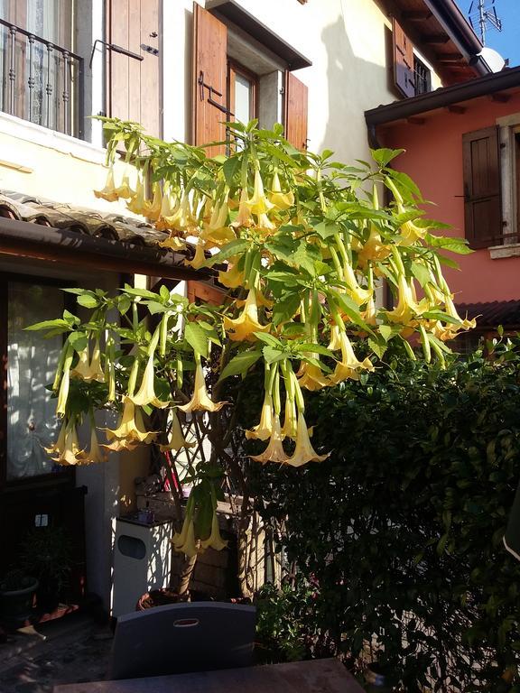 La Carbonara 6 Bed & Breakfast Bardolino Exterior photo